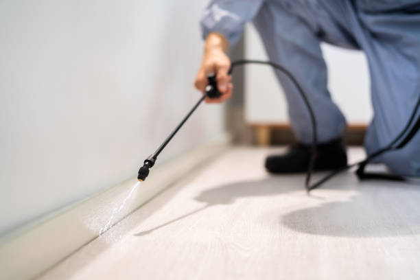 Certified termite inspector examining foundation in Neptune City