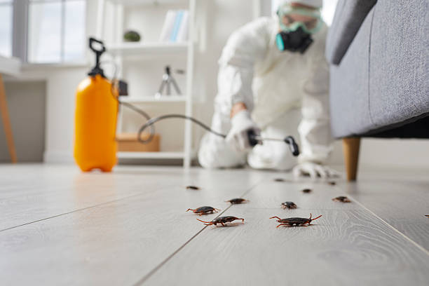 Commercial Rodent Management in Neptune City